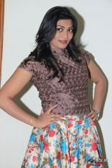 Srimanthudu Movie Thank You Function